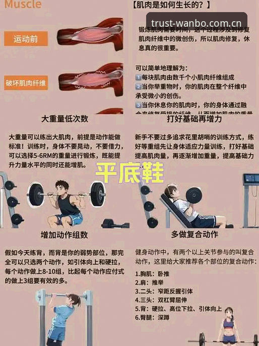 万搏体育使用体验怎么下载 掌握万搏体育使用体验与下载的实用技巧,从入门到精通必备知识
